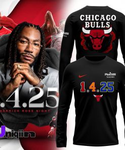 Chicago Bulls Basketball Derrick rose night Hockey